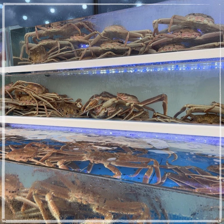 정훈식당 이미지