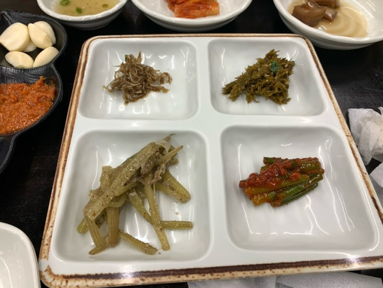 솔정장어 이미지