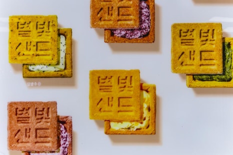 샌드베어 이미지