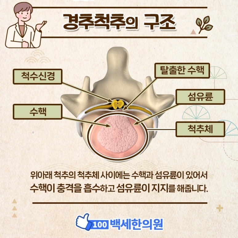 건강백세한의원 이미지