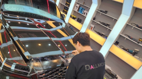 달모어PPF 이미지