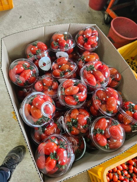 (주)다온축산 이미지