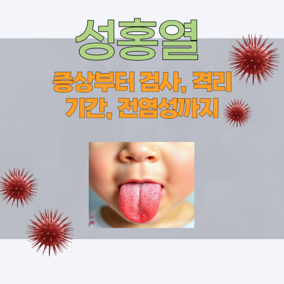 성홍열 증상부터 검사, 격리 기간, 전염성까지 – 한 번에 정…
