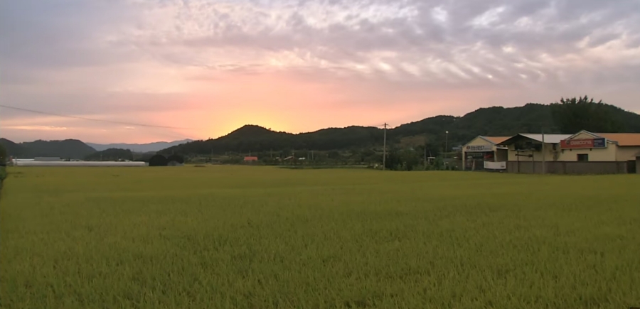 꿈노래클럽 이미지