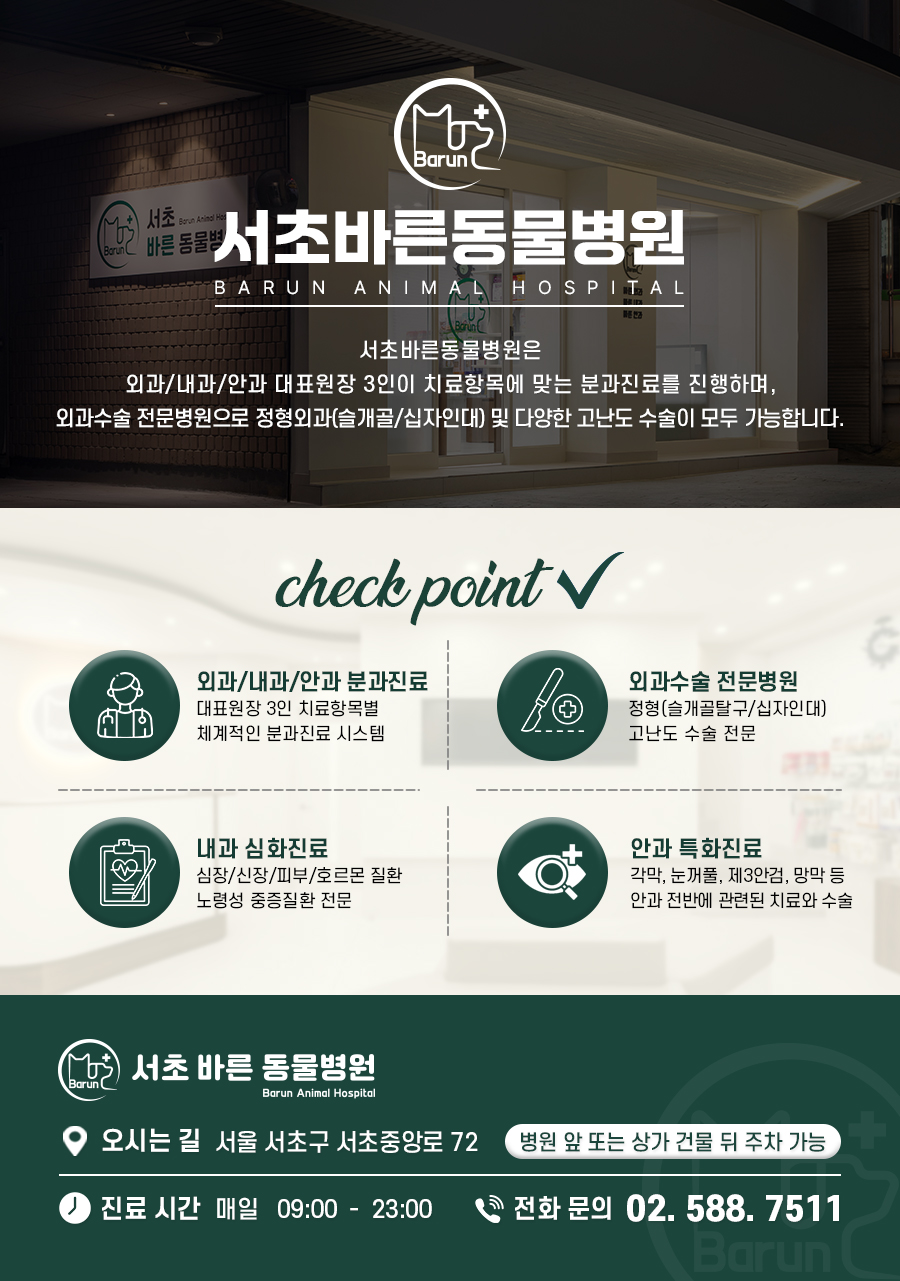 서초바른내과 이미지
