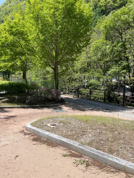 천동오토캠핑장 이미지