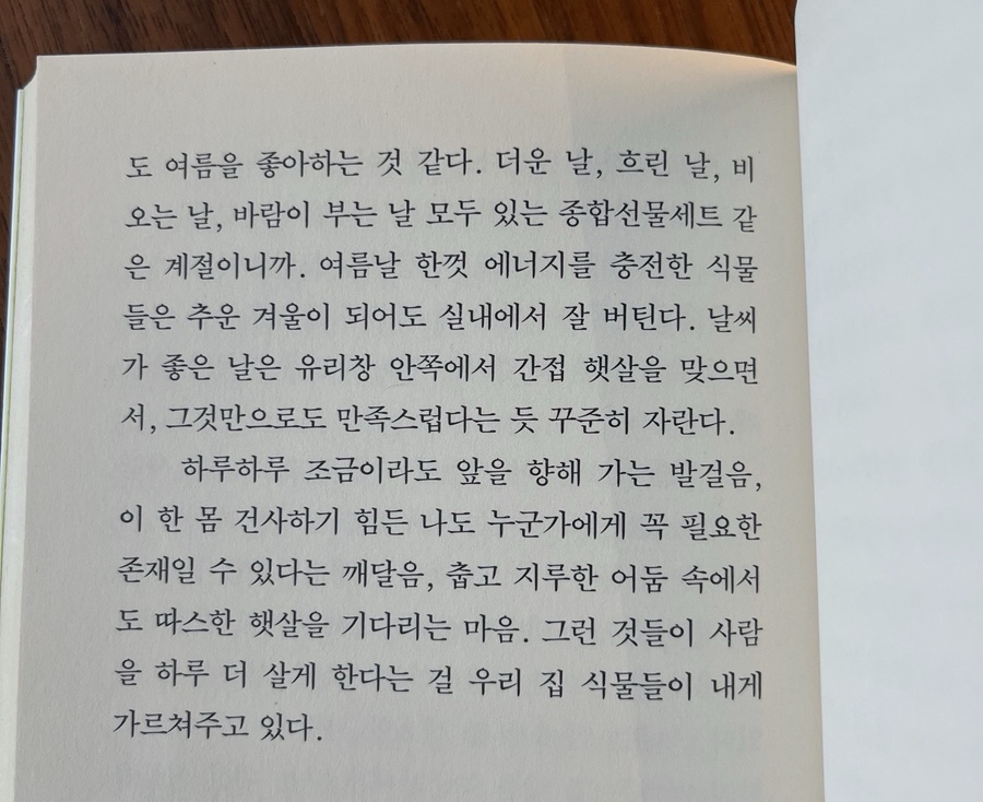 바이넛(BYNUT) 이미지