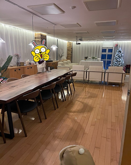 파티501 이미지