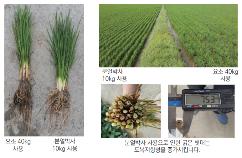 여천농업협동조합 율촌지점 이미지