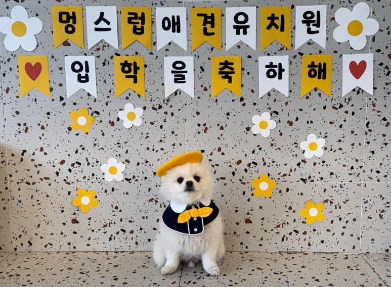 멍스럽 이미지