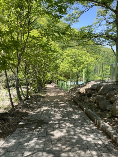 천동오토캠핑장 이미지