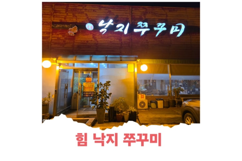 힘낙지쭈꾸미 이미지