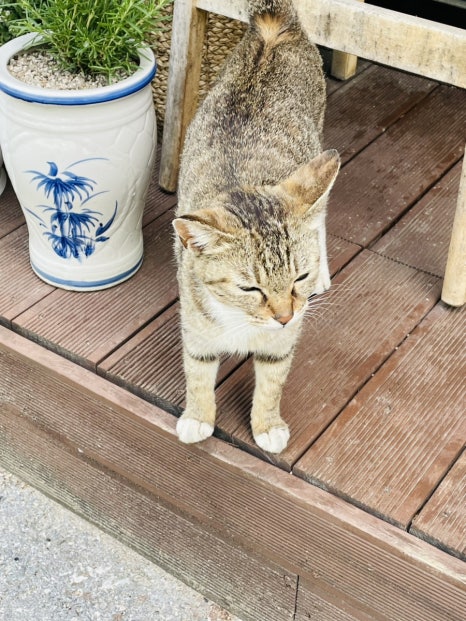 가곡정식당 이미지