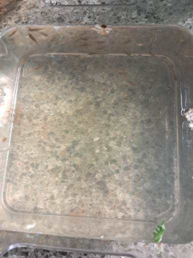 정은치과의원 이미지