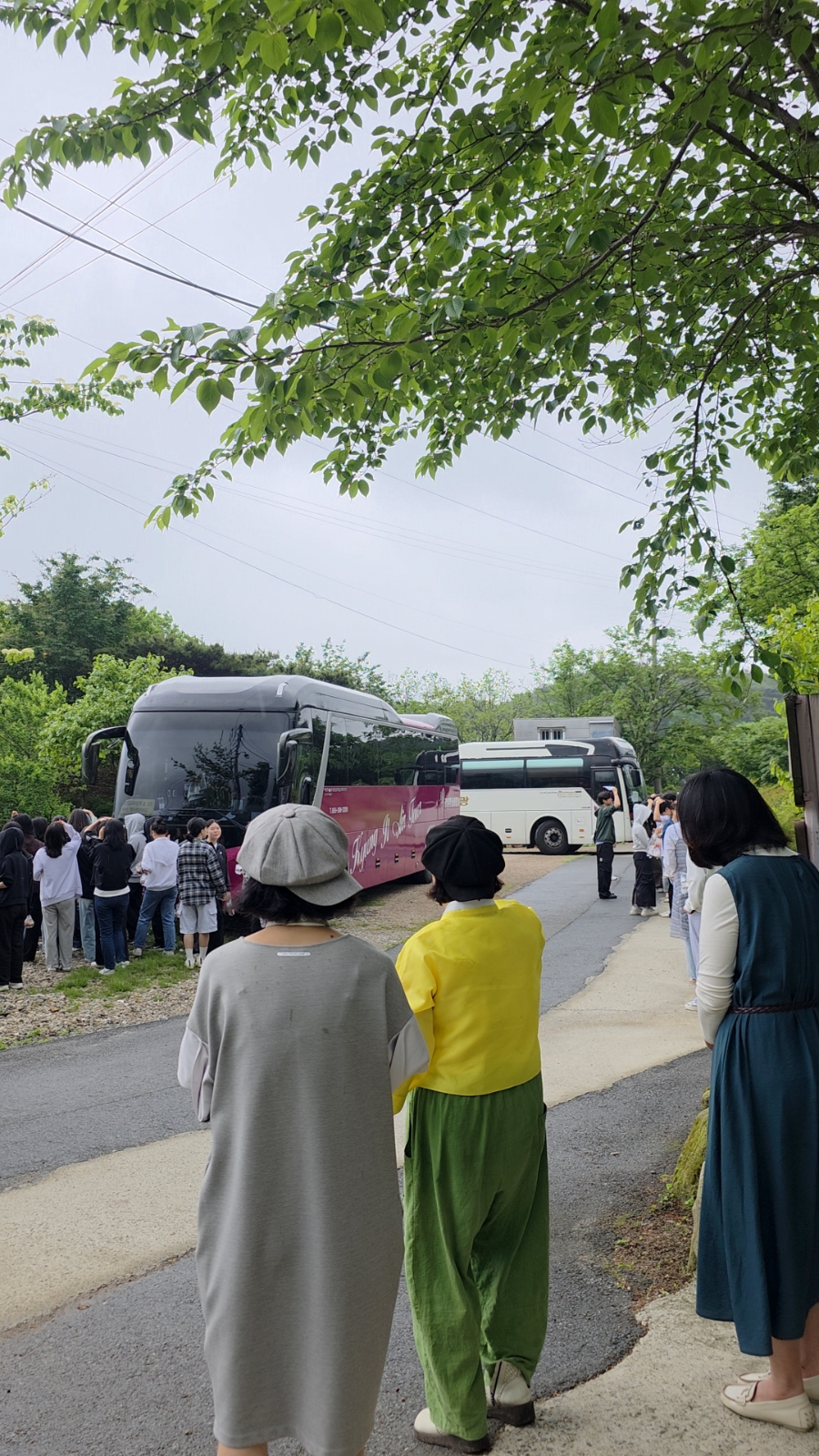 의령손맛본가 이미지