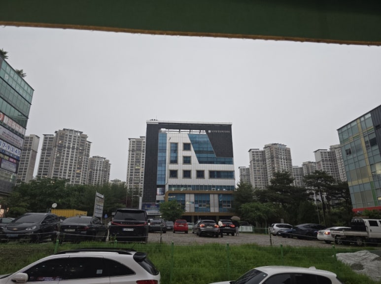 육회술사 이미지