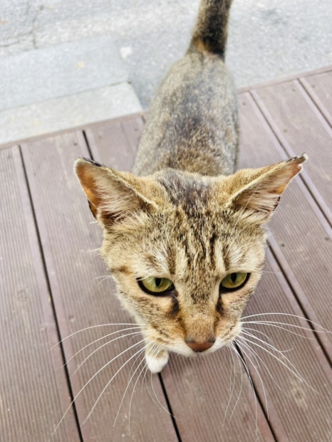 가곡정식당 이미지