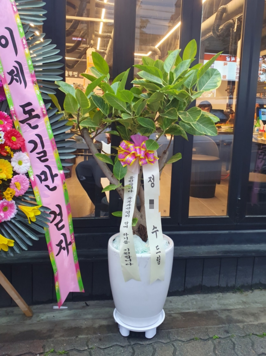 그린띵즈 이미지