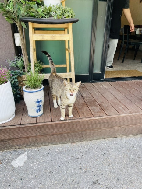 가곡정식당 이미지