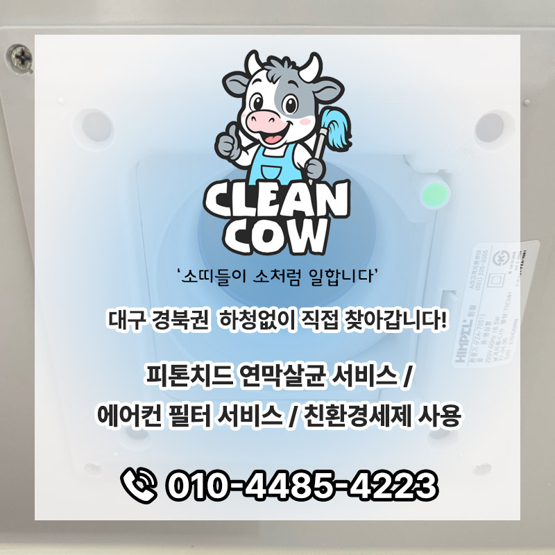클린카우 이미지