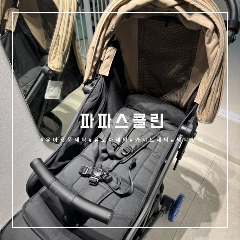 파파스클린 이미지