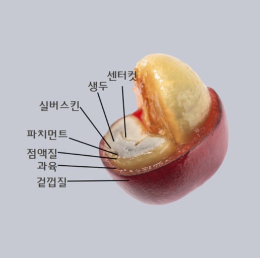 킨커피 이미지