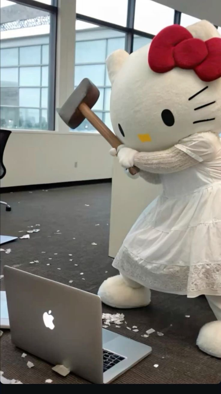 키티 이미지