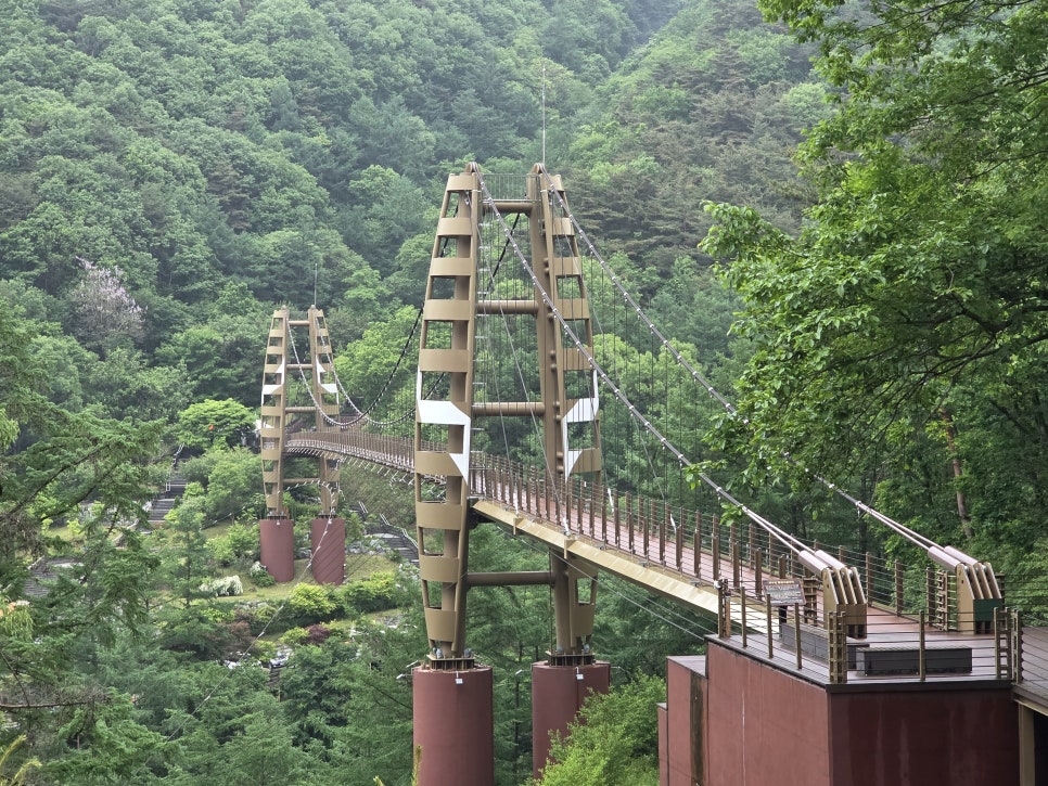 좌구산자연휴양림 이미지