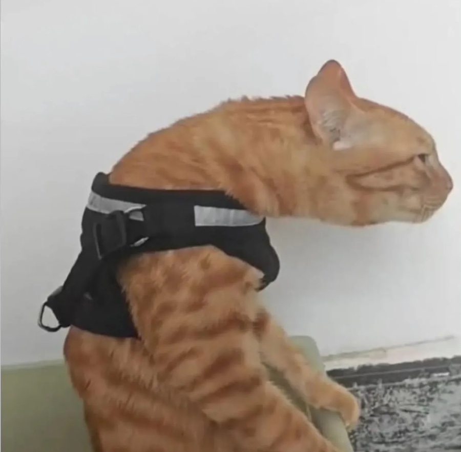 비씨엠씨 이미지