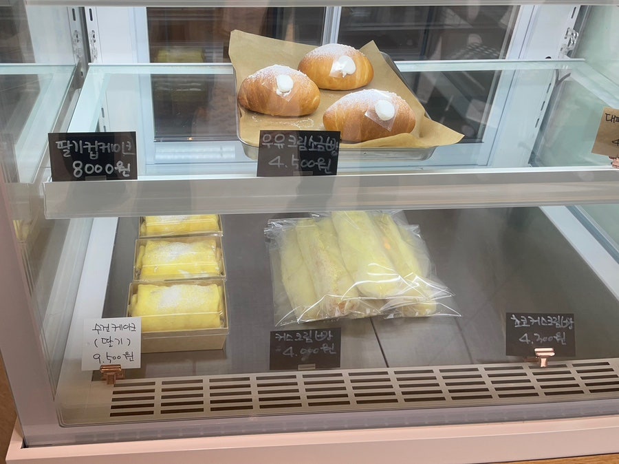 베이굼 이미지