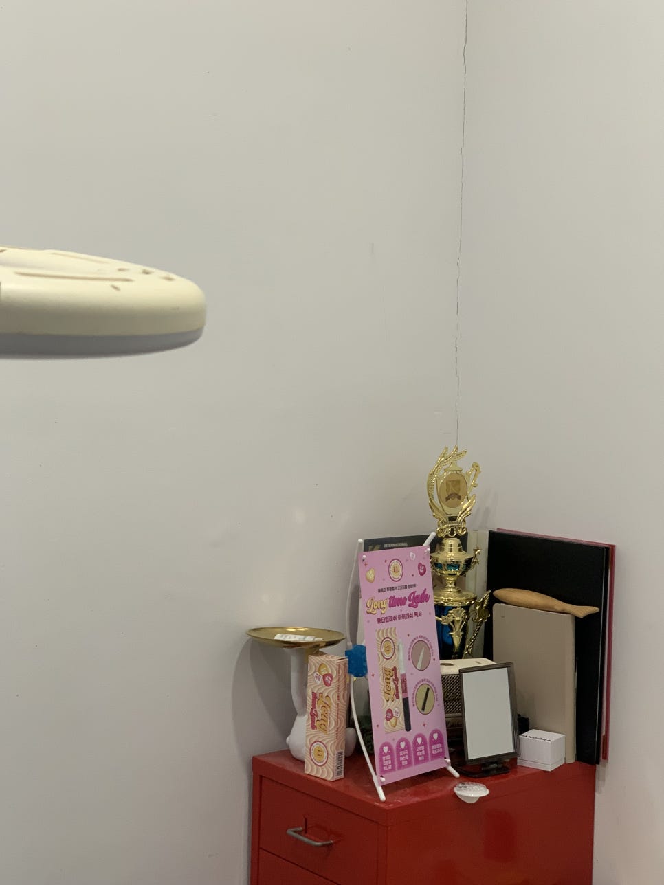 래쉬빈 이미지