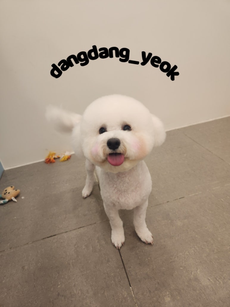 아미미용실 이미지