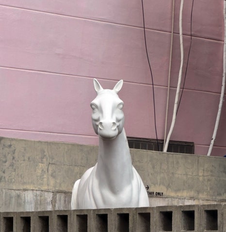 뉴부산 이미지