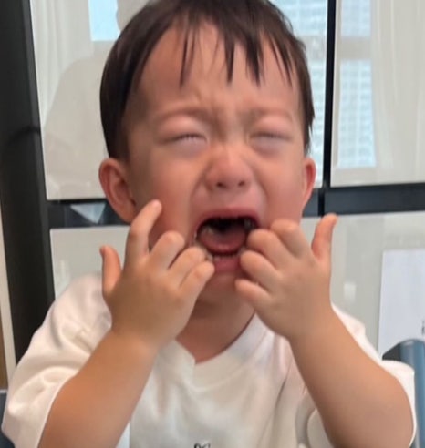 천본앵 이미지