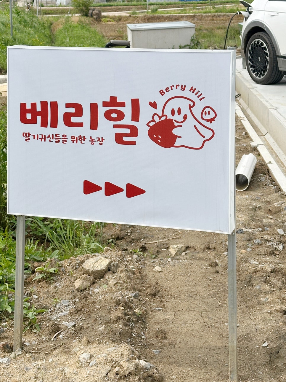 베리힐 이미지