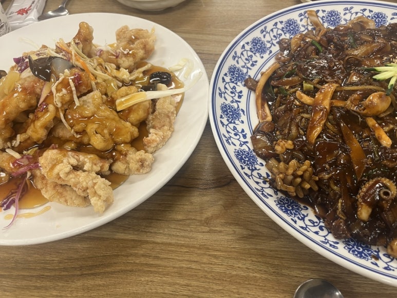 가야미과 이미지