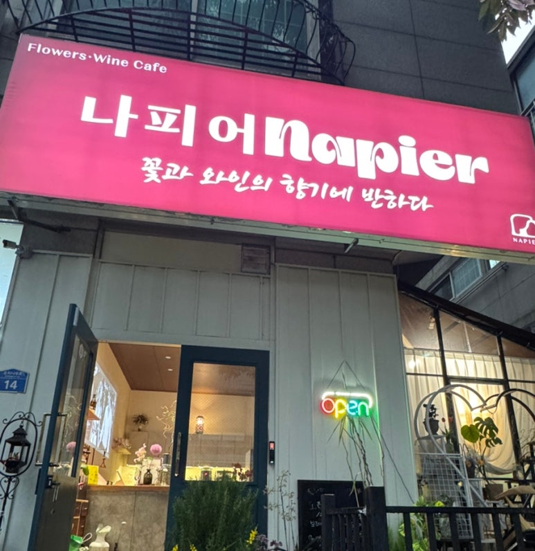 나피어 이미지