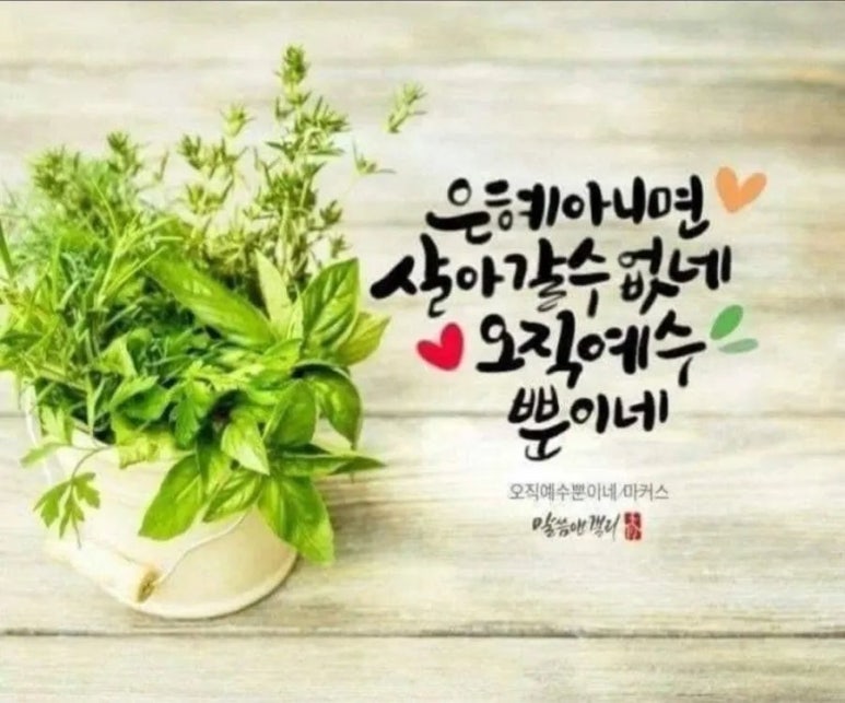 cafe 봄날 이미지