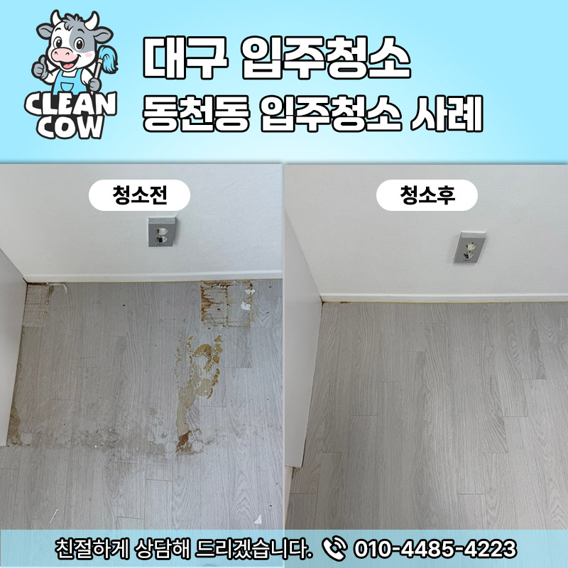 클린카우 이미지