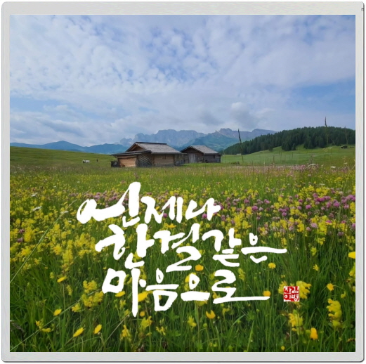 좋은세상좋은사람 이미지
