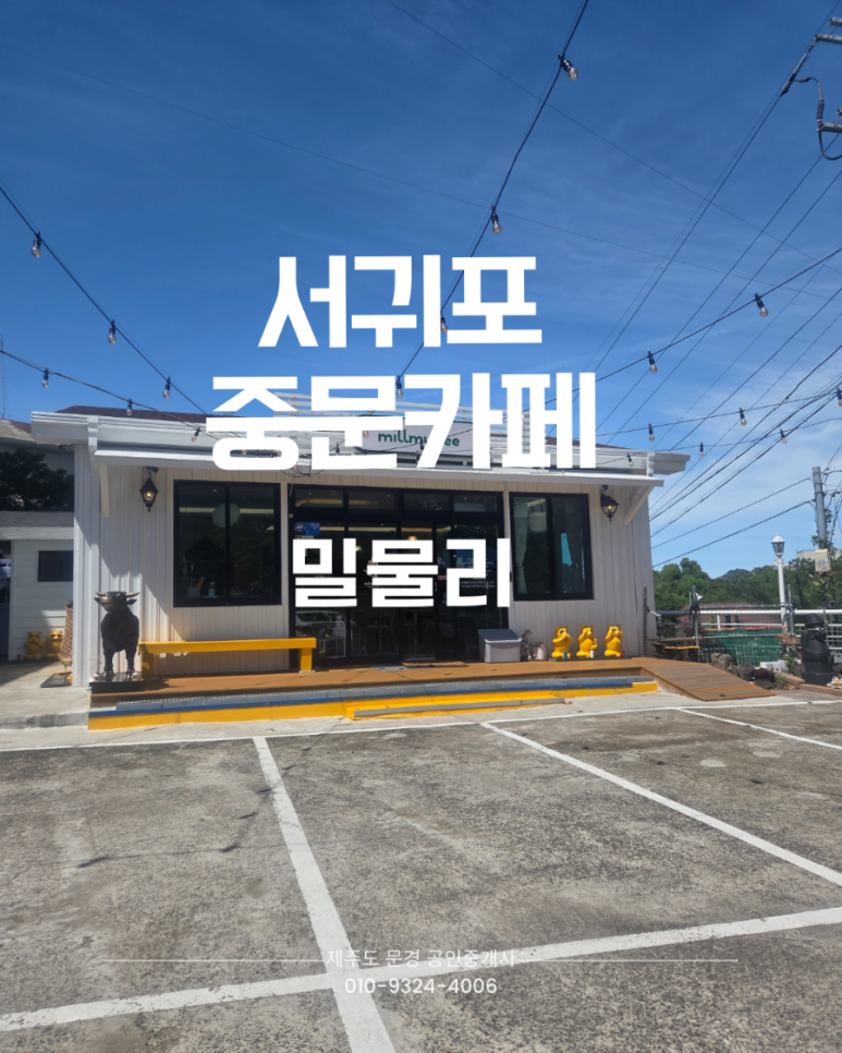밀물리 이미지