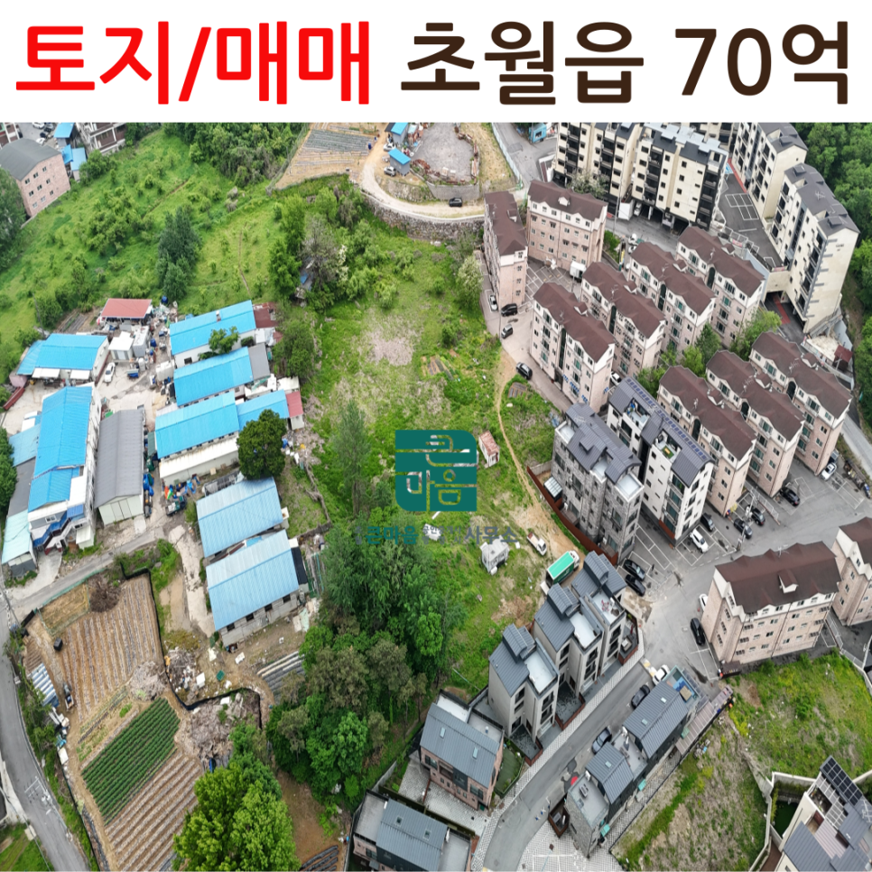 초월행정사사무소 이미지