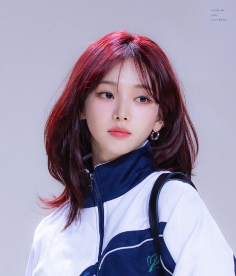 데이데이샵 이미지
