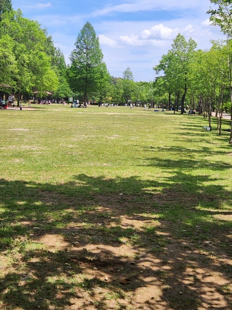 도음산 유아숲체험원 이미지