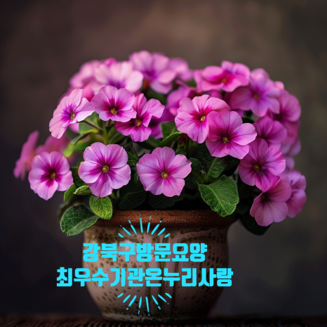사랑돌봄재가복지센터.복지용구 이미지