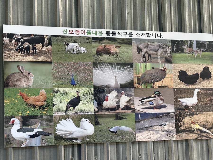 풀내음펜션 이미지