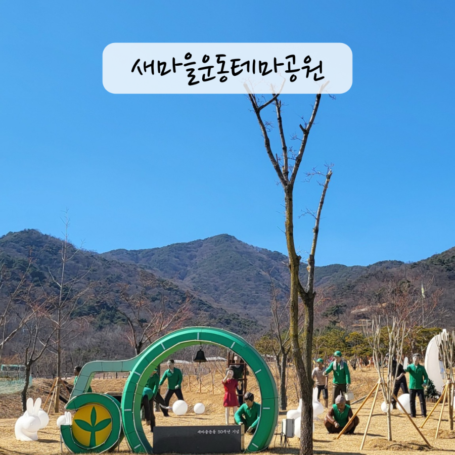 새곳처럼 이미지