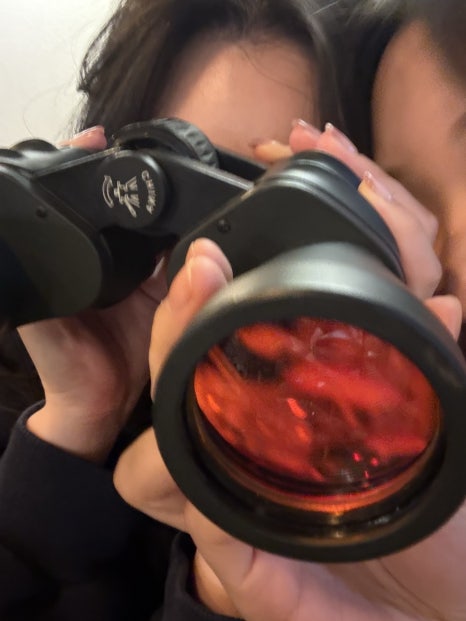 천본앵 이미지