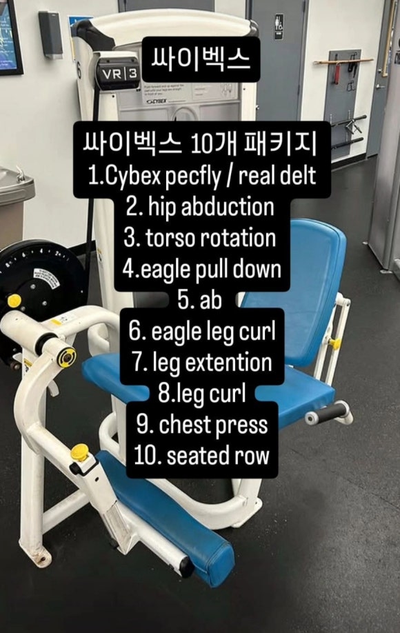 홍군상사 이미지