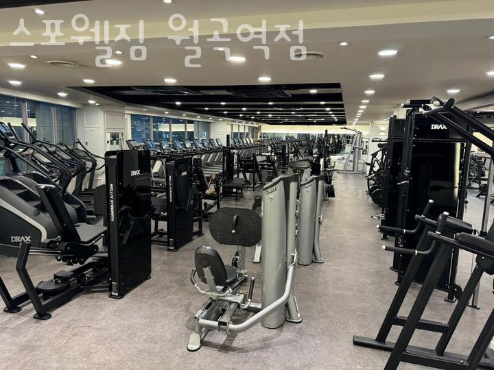 스포웰짐 이미지